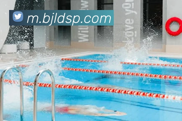 百家乐网站平台生态图